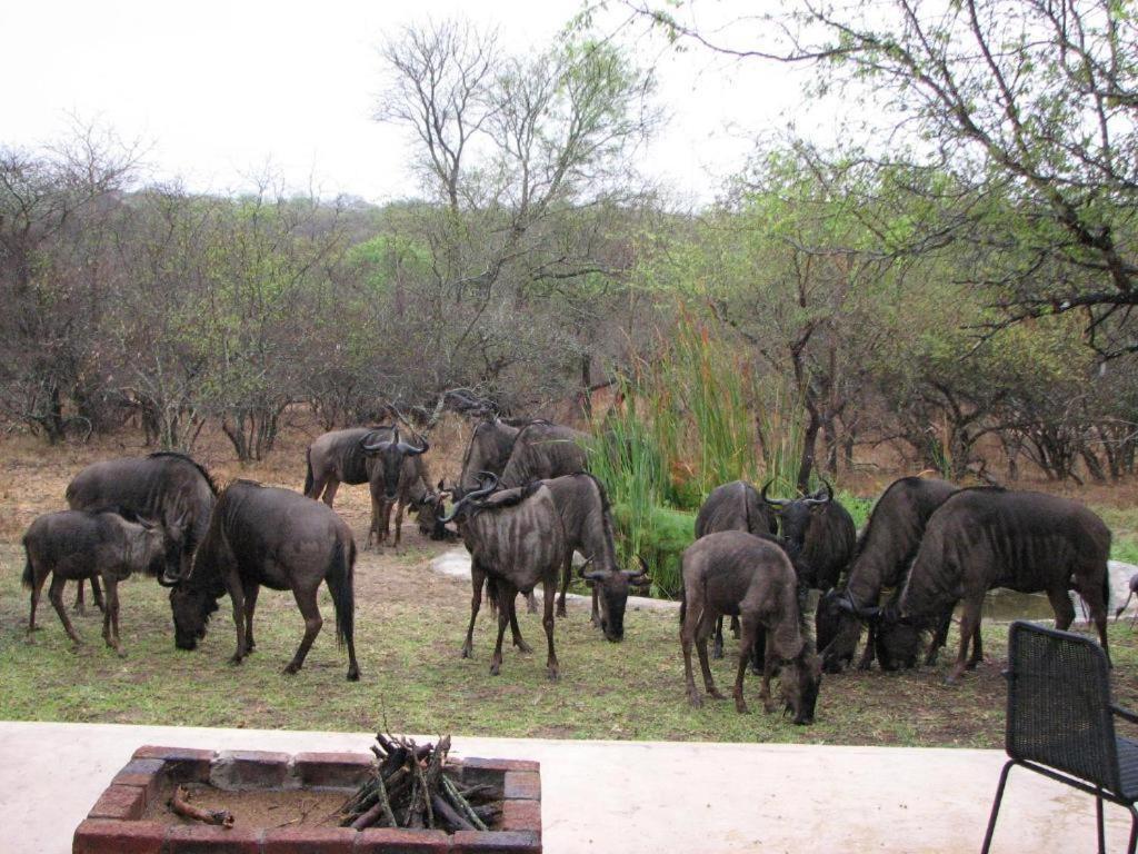 Turaco Lodge - No Loadshedding Marloth Park Eksteriør billede