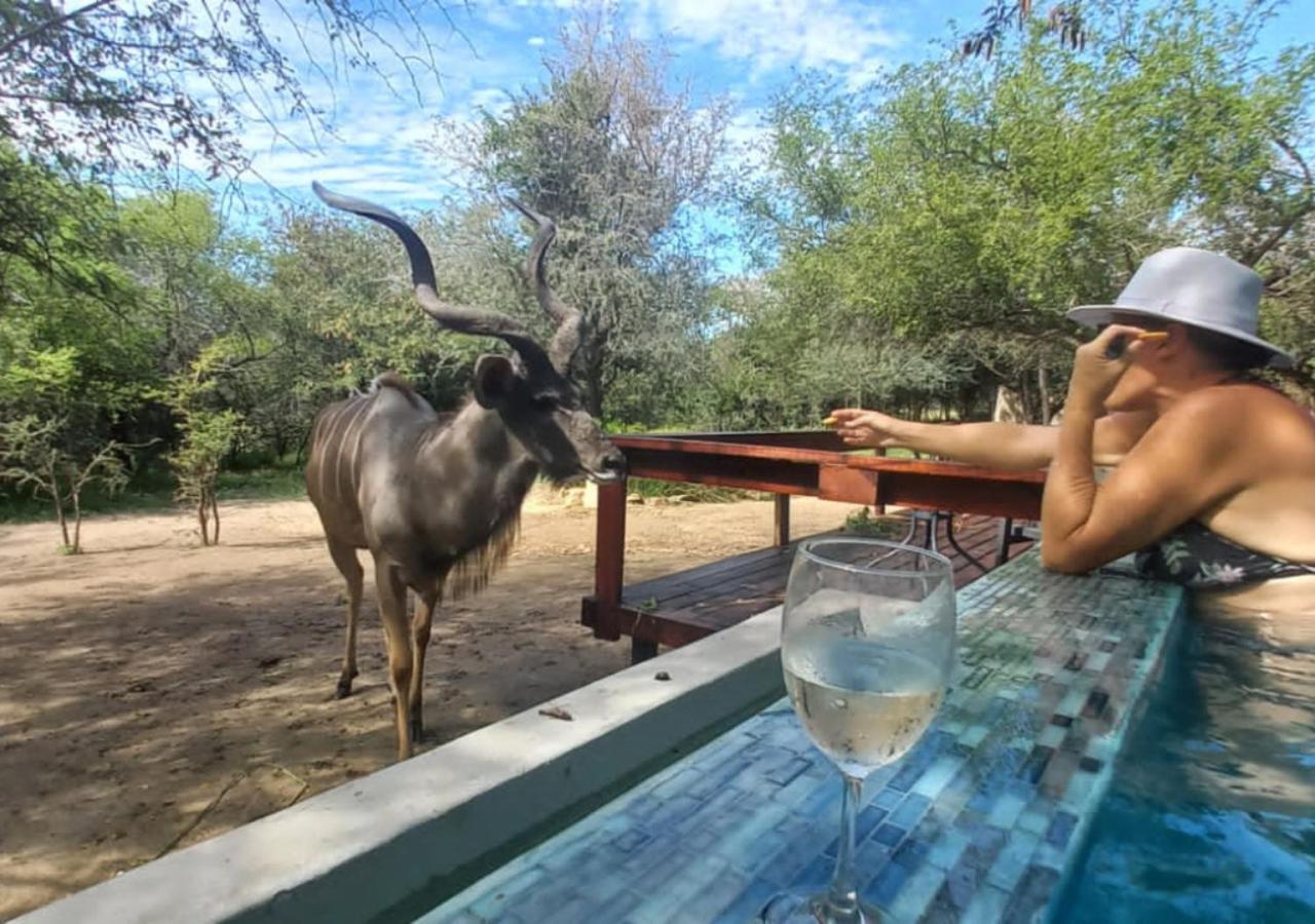 Turaco Lodge - No Loadshedding Marloth Park Eksteriør billede